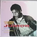 12inch Vinyl Single - Junior - Somebody