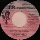 7inch Vinyl Single - Junior Reid - Key To The World