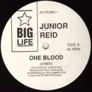 12inch Vinyl Single - Junior Reid - One Blood - Promo, Company Sleeve