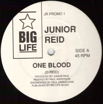 Junior Reid - One Blood