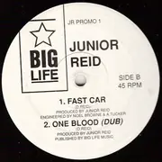 12inch Vinyl Single - Junior Reid - One Blood - Promo, Company Sleeve