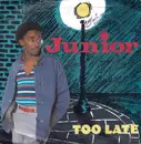 7inch Vinyl Single - Junior - Too Late