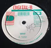 12inch Vinyl Single - Junior Tucker , Determine - Why / Shock The World