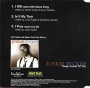 CD Single - Junior Tucker Duet With Diana King - I Will