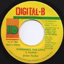 7inch Vinyl Single - Junior Tucker - Remember The Love