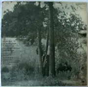 LP - Junior Walker & The All Stars - Rainbow Funk