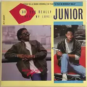 12inch Vinyl Single - Junior - Do You Really (Want My Love)