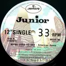 12inch Vinyl Single - Junior - Mama Used To Say