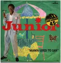 12inch Vinyl Single - Junior - Mama Used To Say