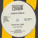 12inch Vinyl Single - Junior Demus - When Me Come