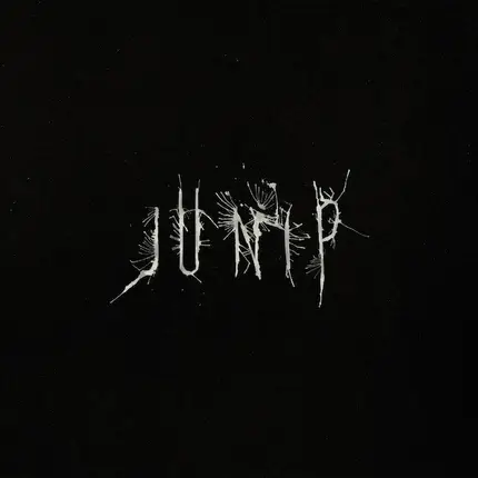 Junip - Junip