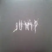 LP - Junip - Junip - 180 Gram, Gatefold