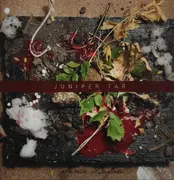 Double LP - Juniper Tar - Since Before - incl. Booklet + Sticker