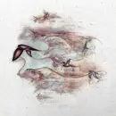 Double LP - Junius Meyvant - Floating Harmonies - + DOWNLOAD