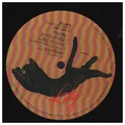 LP - Junji Ariyama - ありのままじゅんじ - OBI + Inlay