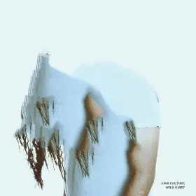 Junk Culture - Wild Quiet