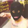 12inch Vinyl Single - Junk Yard Dog - Riot