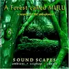 CD - A Forest Called Mulu - A Search for the Unexplored