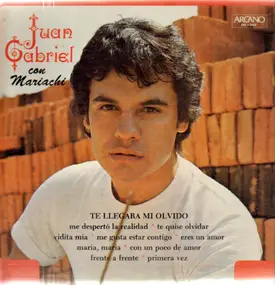 Juan Gabriel - Te Llegara Mi Olvido
