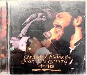 Juan Luis Guerra 4.40 - Grandes Éxitos De Juan Luis Guerra 4 40 (Greatest Hits)