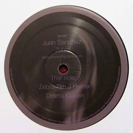 Juan Sanchez - Zebra