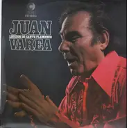 Juan Varea - Leccion de cante Flamenco