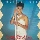 12inch Vinyl Single - Judy La Rose - Little Bit Of Love