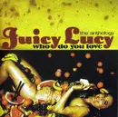 CD - Juicy Lucy - Who Do You Love :The Anthology