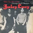 7inch Vinyl Single - Juicy Lucy - Who Do You Love / Chicago North Western