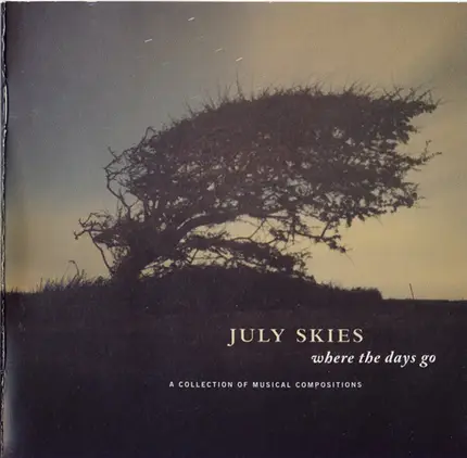 July Skies - Where The Days Go (A Collection Of Musical Compositions)