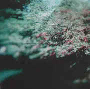 CD - July Skies - Dreaming Of Spires