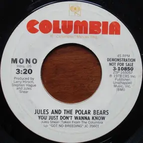 Jules and the Polar Bears - You Just Don't Wanna Know