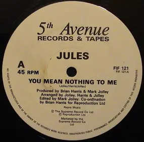 The Jules - You Mean Nothing To Me