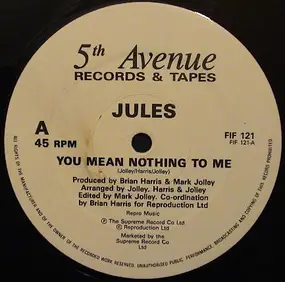 The Jules - You Mean Nothing To Me