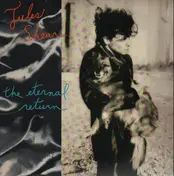 Jules Shear - The Eternal Return