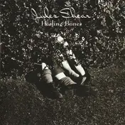 Jules Shear - Healing Bones