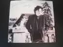 7inch Vinyl Single - Jules Shear - Steady
