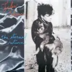 LP - Jules Shear - The Eternal Return