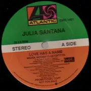 12inch Vinyl Single - Julia Santana - Love Has A Name - Promo