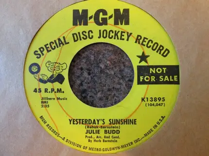 Julie Budd - Yesterday's Sunshine / New Hope