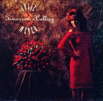 Julie Meyer - Tomorrow's Calling