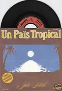 Julie Sitruk - Un Païs Tropical / Mystic Love