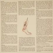 Double LP - Julien Baker - Sprained Ankle - INSERT INCLUDED