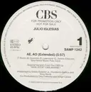 12inch Vinyl Single - Julio Iglesias - Ae, Ao