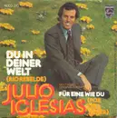 7inch Vinyl Single - Julio Iglesias - Du In Deiner Welt (Rio Rebelede)