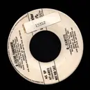 7inch Vinyl Single - Julius La Rosa - Marienne / Stashu Pandowski - promo