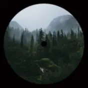 Julius Steinhoff - Blackest Forest Ever