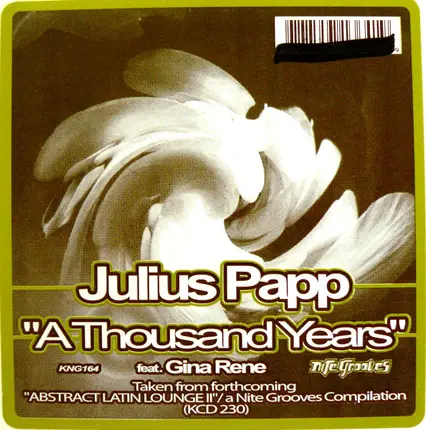 Julius Papp Feat. Gina Rene - A Thousand Years