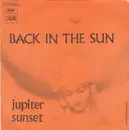 7inch Vinyl Single - Jupiter Sunset - Back In The Sun