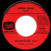 7inch Vinyl Single - Jupiter Sunset - Back In The Sun